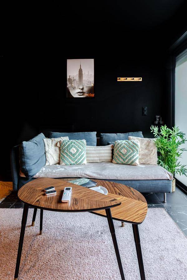 Gîte pour 2 personnes, avec sauna ainsi que jacuzzi et terrasse, animaux acceptés à Truchtersheim - 4