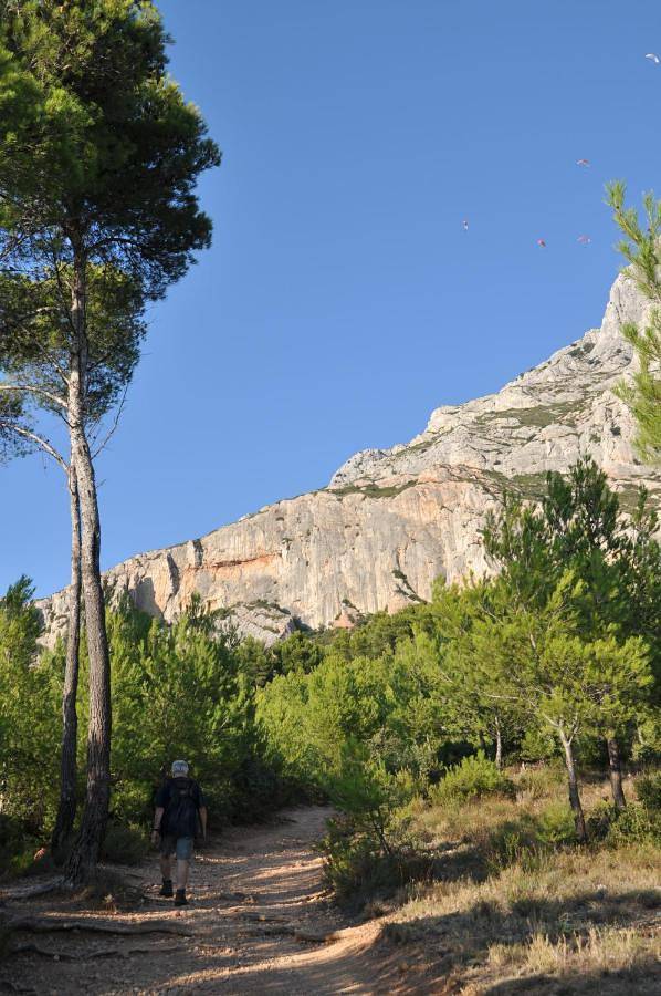 Chambre d’hôte pour 2 personnes, avec Terrasse ainsi que Jardin et Piscine dans les Bouches-du-Rhône - 2