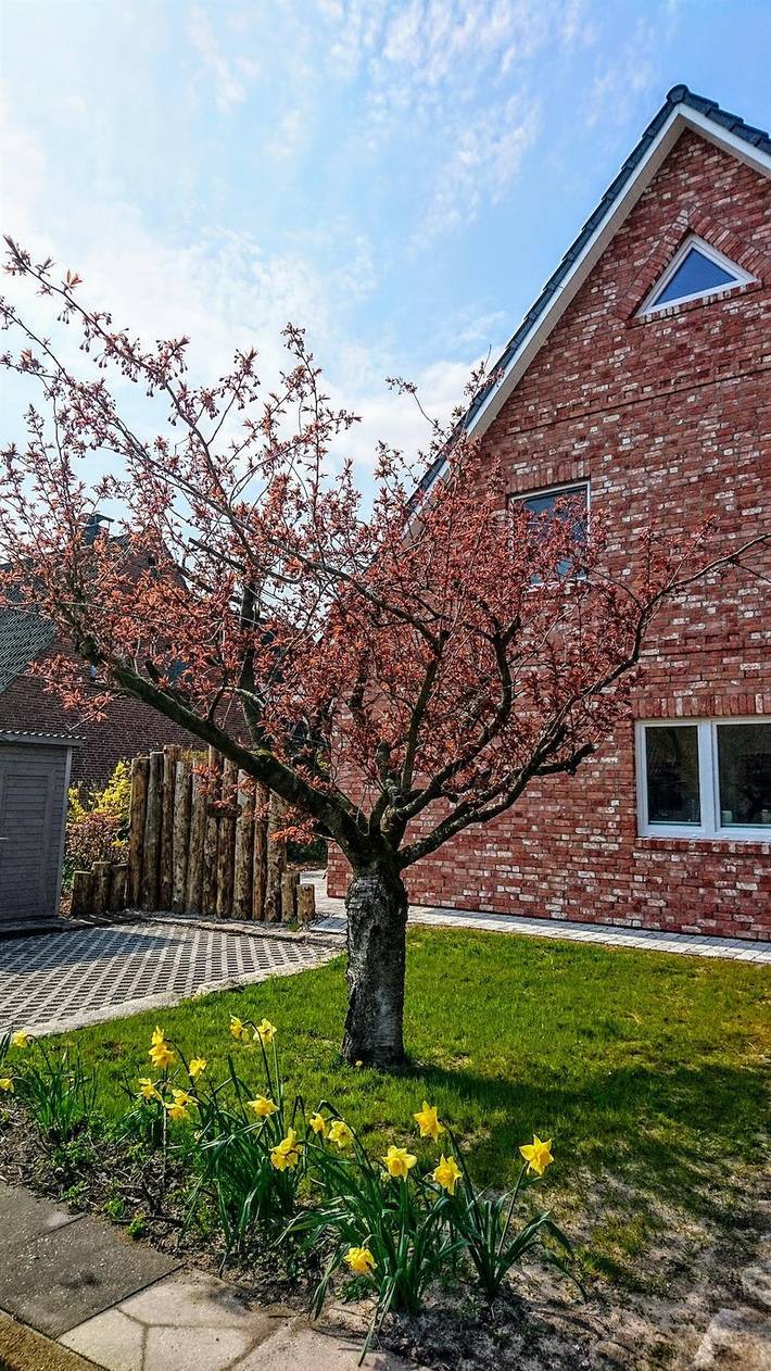 Haus Strandholz in St. Peter-Bad, St. Peter-Ording