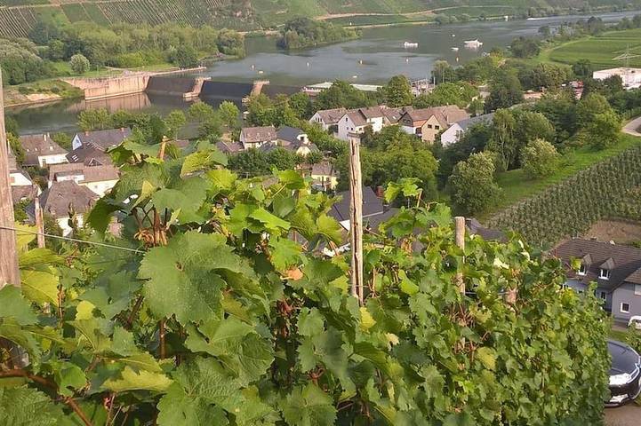 BnB für 3 Personen in Rheinland-Pfalz - 4
