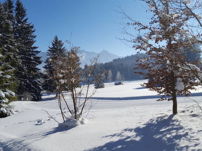Chalet für 2 Personen, mit Terrasse und Sauna sowie Pool und Garten in Ofterschwang - 2
