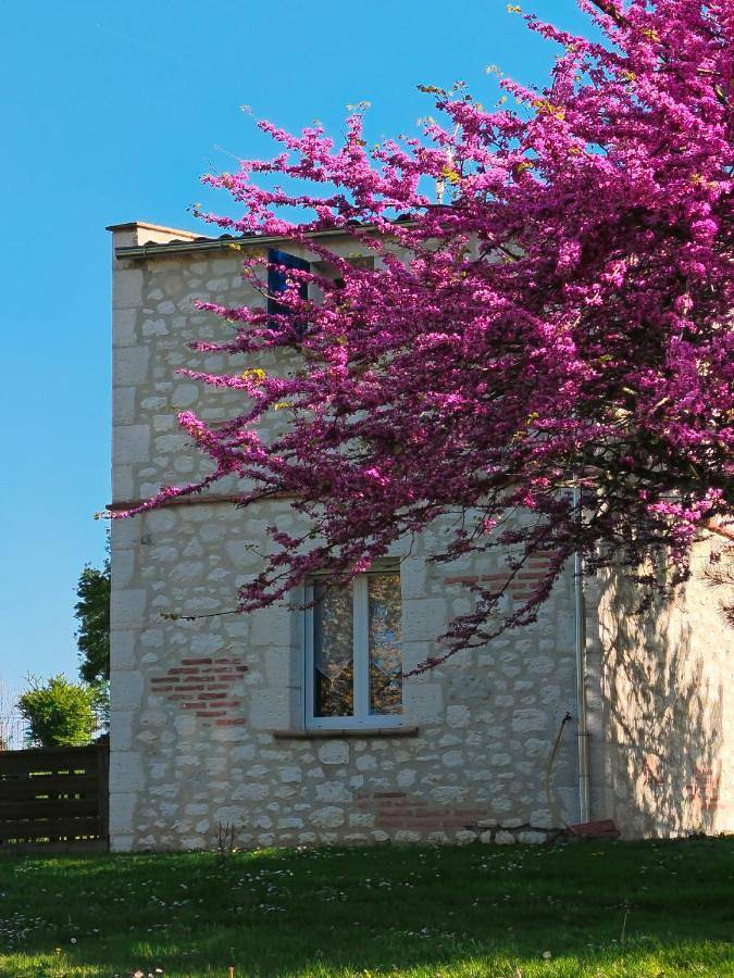 Location de vacances pour 2 personnes, avec vue et terrasse à Moncaut - 2