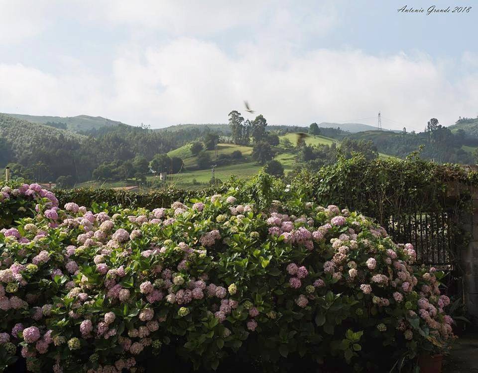 Casa Velarde in Torrelavega, Costa de Cantabria