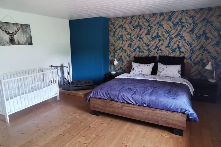 Location de vacances pour 8 personnes, avec jardin et jacuzzi, animaux acceptés à Provenchères-sur-Fave - 2