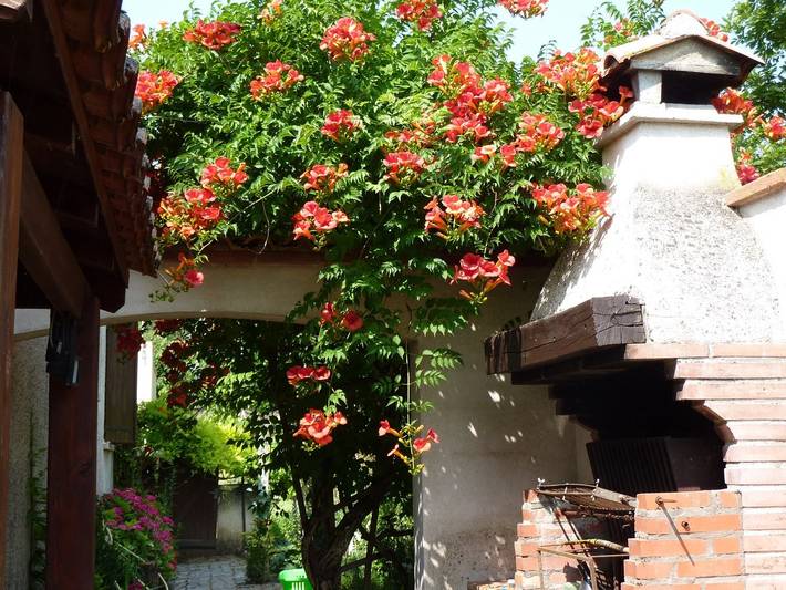 Location de vacances pour 6 personnes, avec terrasse ainsi que jardin et vue sur le lac, animaux acceptés dans Base de loisirs d'Aiguelèze - 3