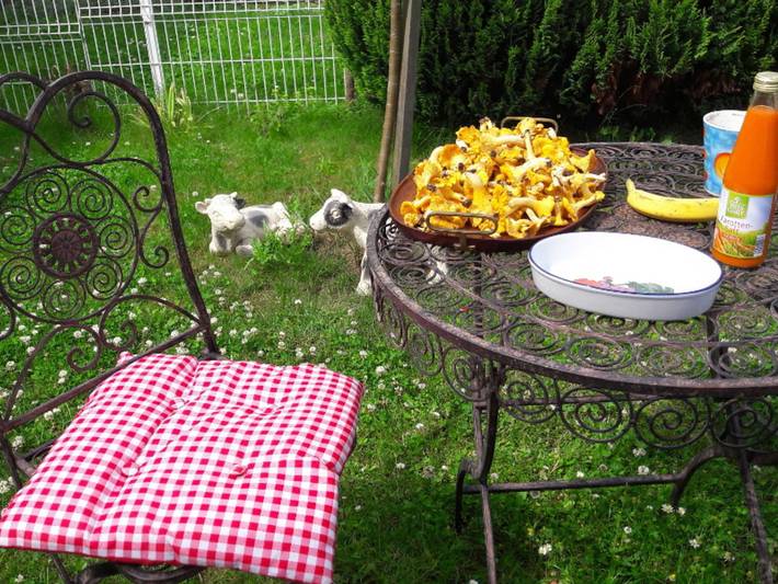 Ferienhaus für 2 Personen, mit Garten und Seeblick sowie Balkon in Deutschland - 3