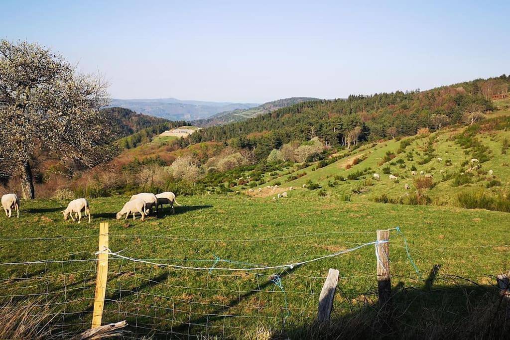 Villa in Marcols-les-Eaux, Parc naturel régional des Monts d'Ardèche