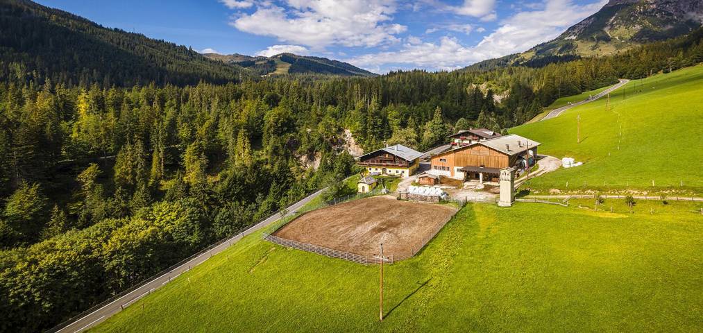 Ganze Ferienwohnung, Doppelzimmer mit Dusche, Wc in Hochkönigstock, Mühlbach am Hochkönig