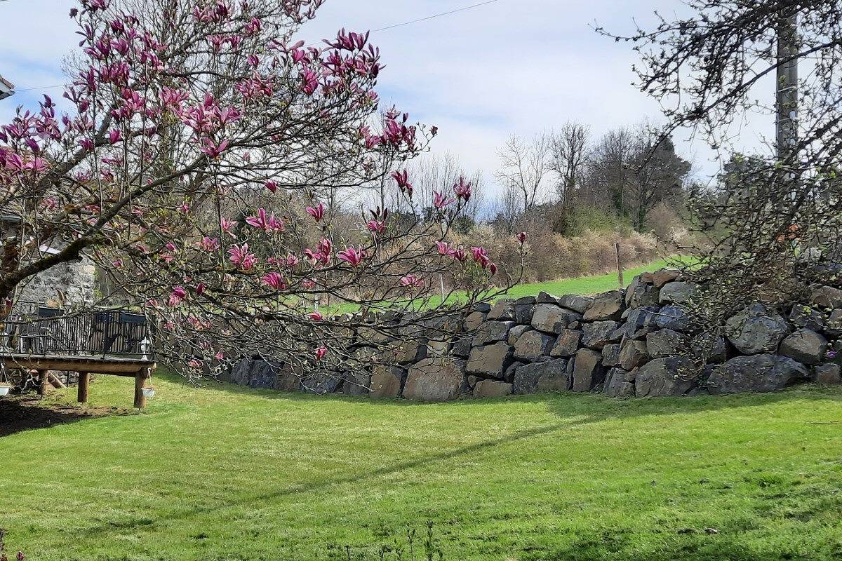 Villa magnolia in Coubon, Haute-Loire