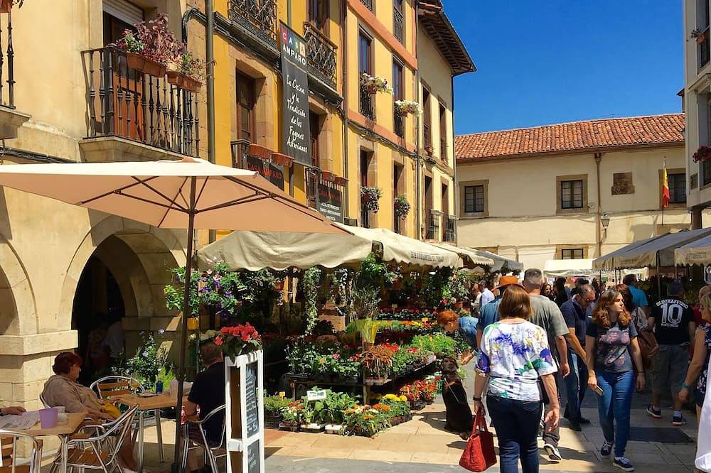 Appartamento intero, Jas · Loft cuore Oviedo Calle d Peatonal in Oviedo, Montagne Cantabriche