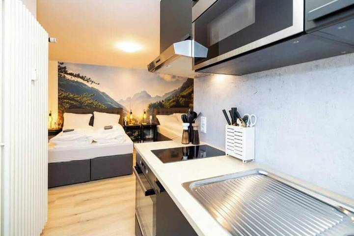 Ganze Wohnung, Modernes Apartment in der Innenstadt - Studio Apartment in Würzburg, Fränkisches Weinland