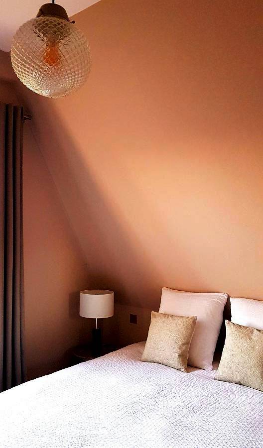 Gîte pour 6 personnes, avec jardin, animaux acceptés à Suèvres - 3