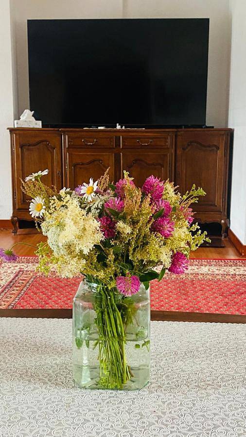 Gîte pour 5 personnes, avec jacuzzi dans Otepaa - 4