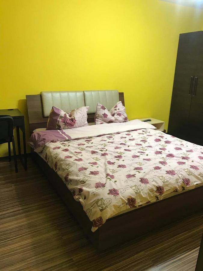 Appartement entier, Studio Apartment in Walachia