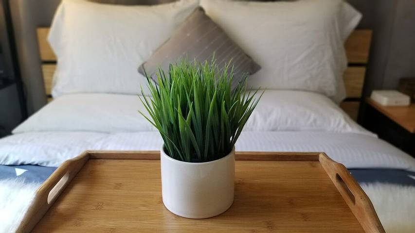 Bed and breakfasts for 4 people in California