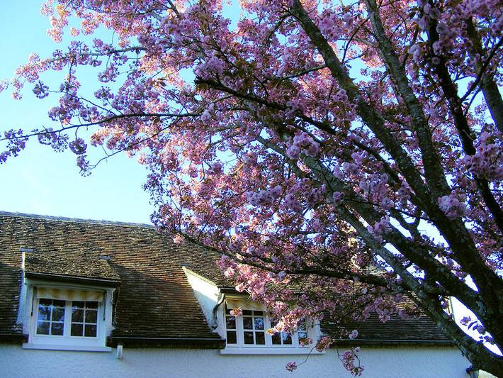 Chambre d’hôte pour 5 personnes, avec jardin en Bourgogne - 3