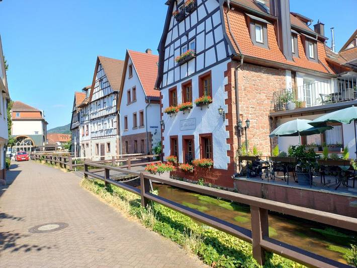 Ferienwohnung für 4 Personen in Annweiler - 2