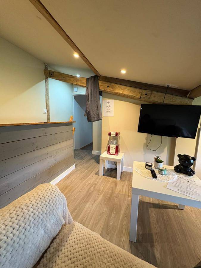 Appartement entier, One-Bedroom Apartment in Montrevault-sur-Èvre, Région de Cholet