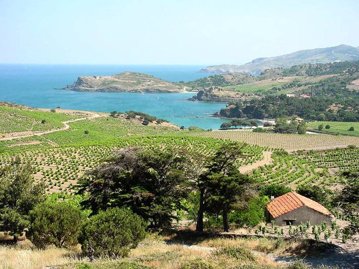 Bungalow für 2 Personen, mit Terrasse und Pool in Languedoc-Roussillon - 3