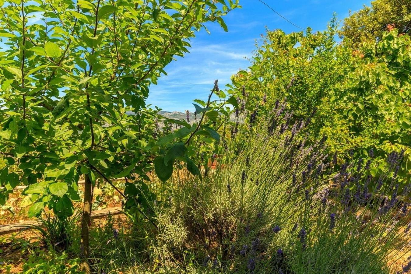 House Marija in Zrnovska Banja, Korcula