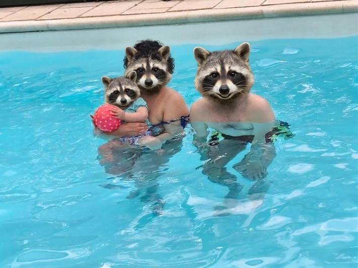 Location de vacances pour 6 personnes, avec Piscine et Vue à Saint-Sylvain-d'Anjou