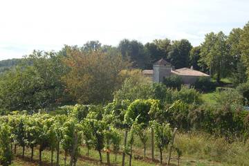 Gîte pour 6 personnes, avec jardin, animaux acceptés à Saint-Aubin-de-Branne