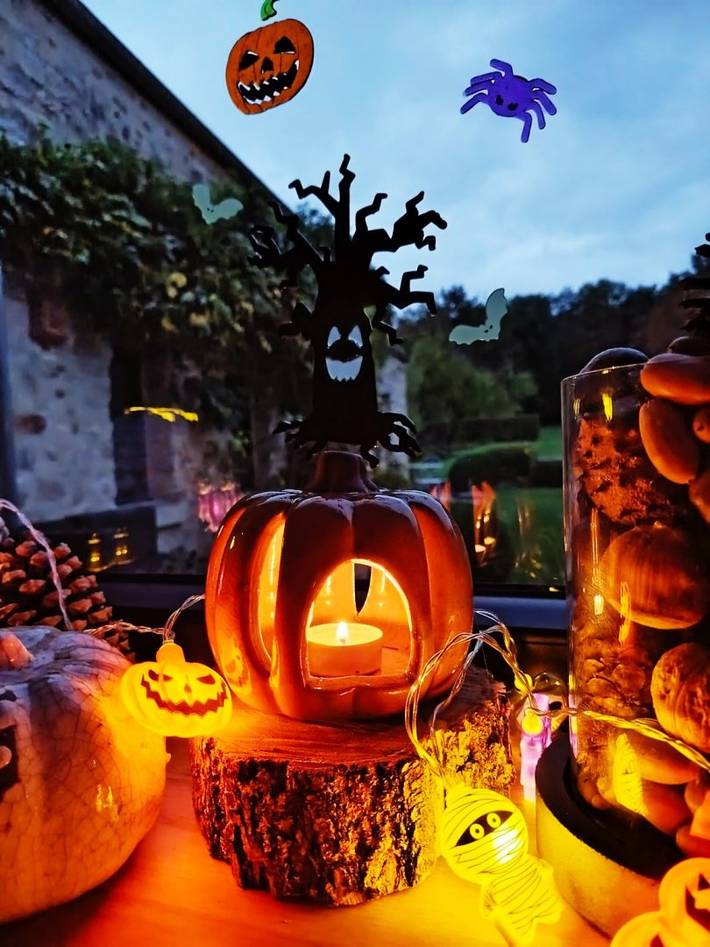 Chambre d’hôte pour 4 personnes, avec jardin, animaux acceptés dans Oise - 2