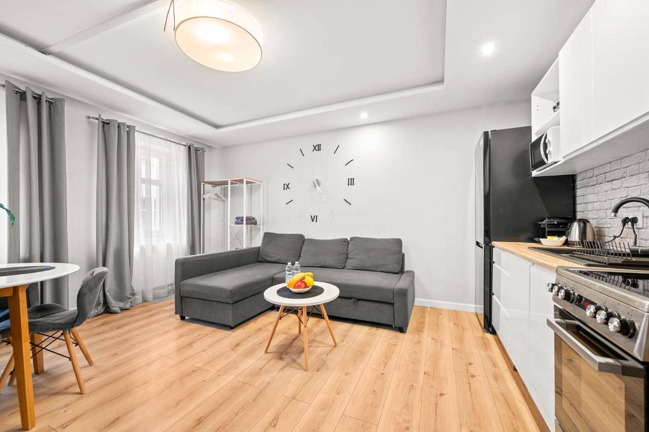 Cały apartament, Central Platinum Apartments 14 in Rybnik, Śląsk