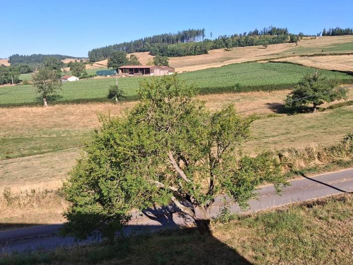 Location de vacances pour 4 personnes à Dompierre-les-Ormes - 2