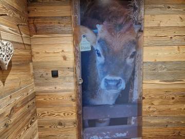 Ferienwohnung für 2 Personen in Leutasch, Zugspitze (Österreich), Bild 4