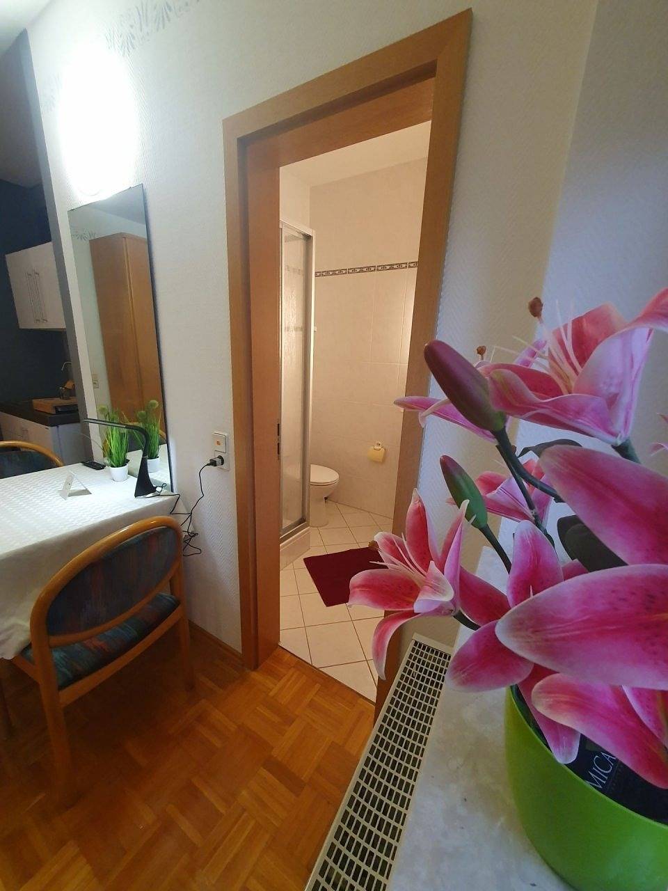 Ganze Ferienwohnung, 5 Apartments bis 10 Personen in Zwingenberg, Bergstraße