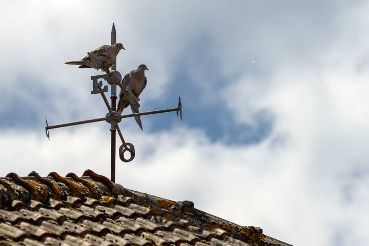 Gîte pour 7 personnes, avec jardin et terrasse à Vienne (France) - 2