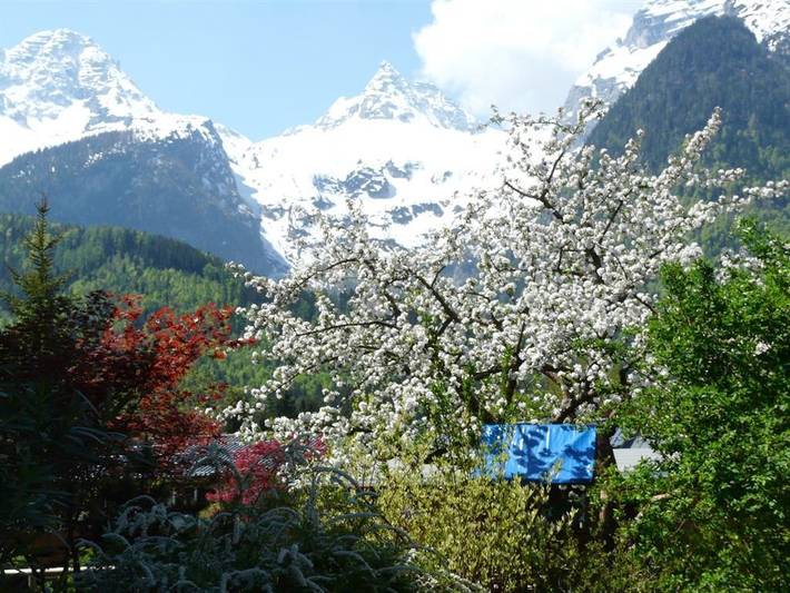 Ferienwohnung für 4 Personen, mit Balkon und Garten in Lofer - 2