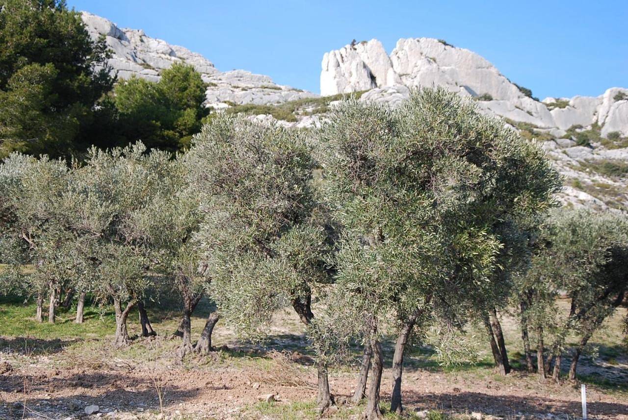 Château de Servanes in Mouriès, Région d'Arles