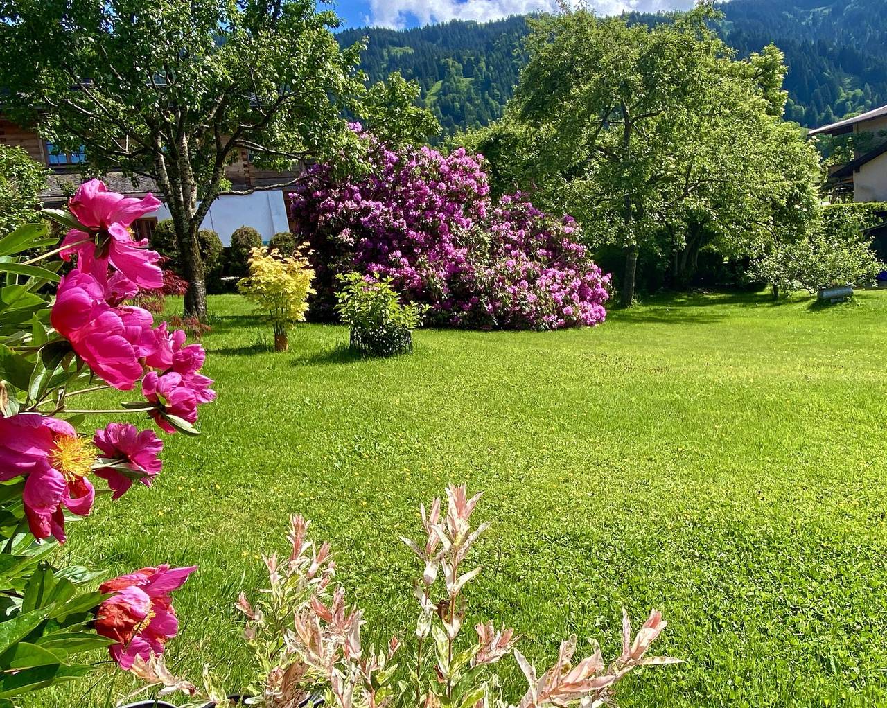 Ganze Ferienwohnung, Typ Bijou Jochum Appartements Wildschönau 1 in Hopfgarten im Brixental, Kaisergebirge