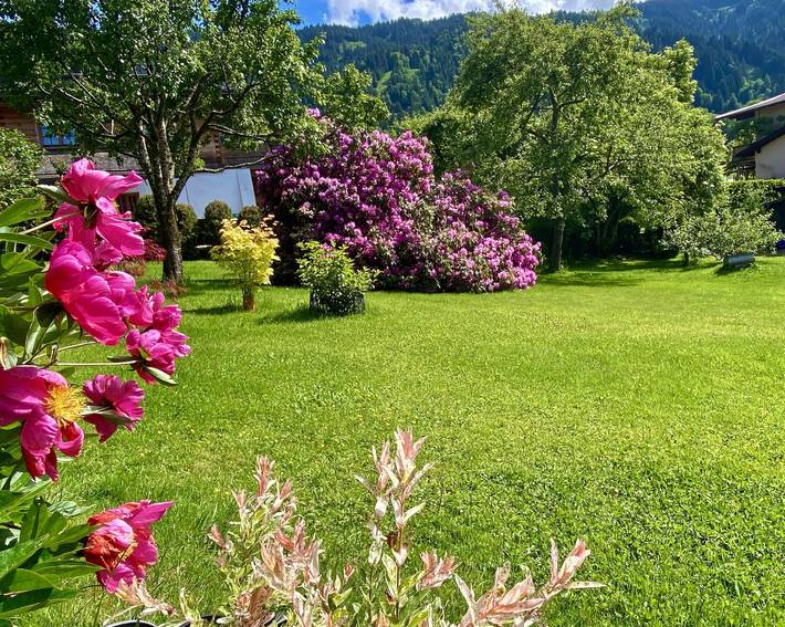 Hütte für 2 Personen, mit Ausblick und Pool sowie Garten, mit Haustier in den Kitzbüheler Alpen - 3