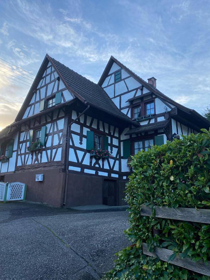 Appartement entier, Basler Ferienwohnung in Offenbourg, Forêt-Noire centrale