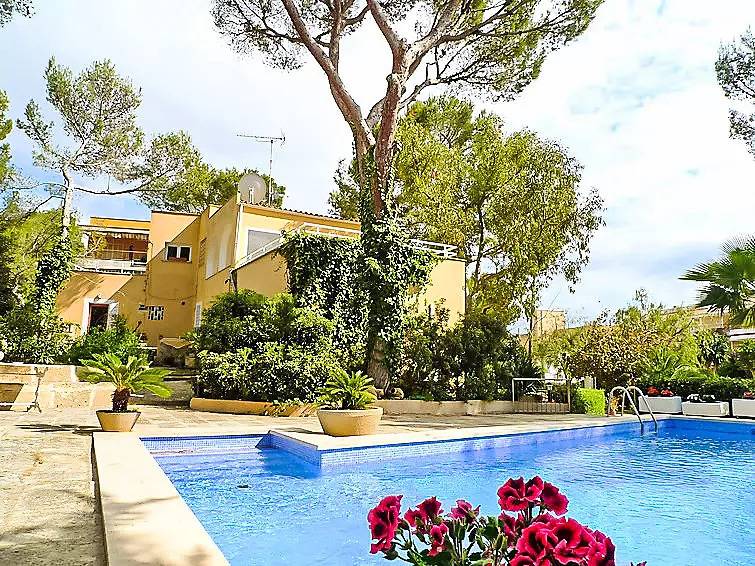 Maison 8 Personnes in Santa Ponsa, Calvià