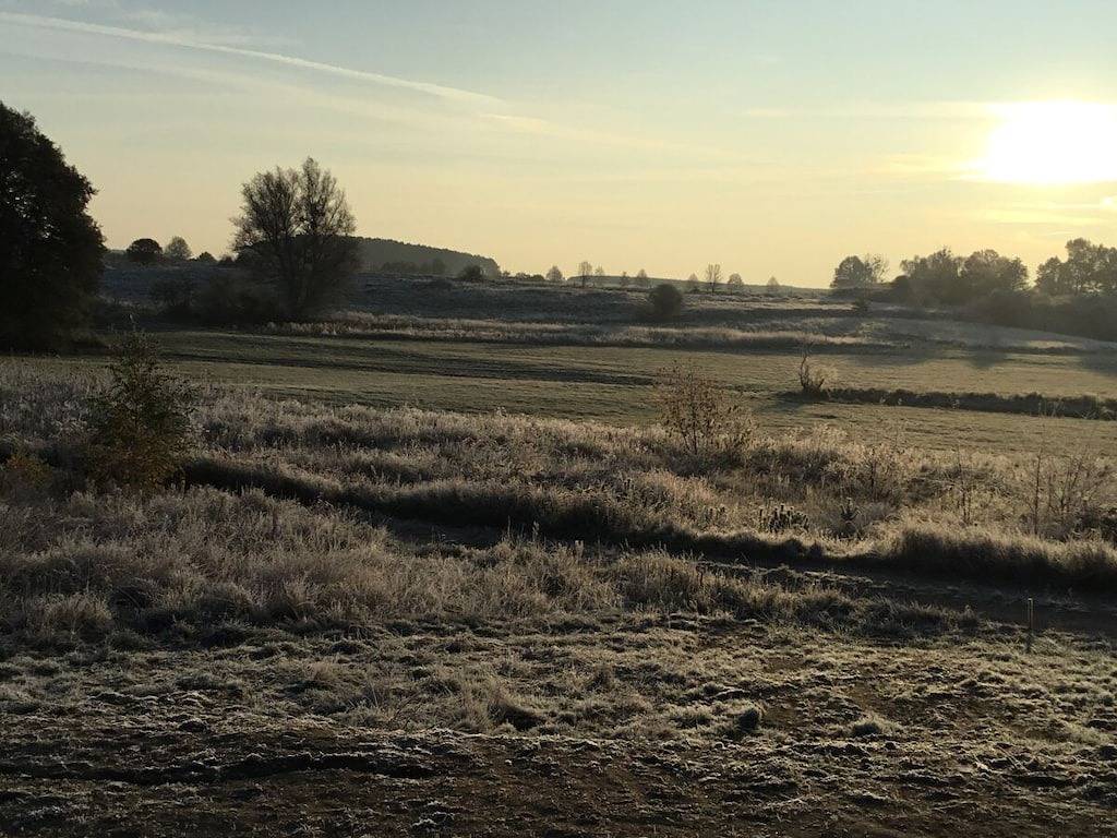 Le vert grand ouvert in Wesenberg, Mecklenburg-Strelitz