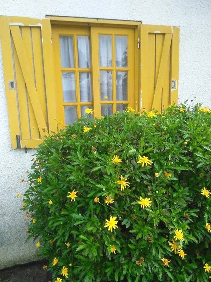 Apartamento vacacional entero, Casa Amarela in Esmoriz, Distrito de Aveiro