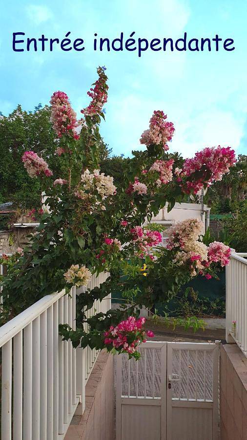 Gîte pour 2 personnes, avec terrasse et vue à Saint-Pierre (ville) - 3
