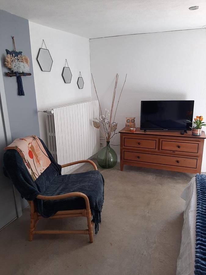 Double Room with Terrace in Beaucaire, Région de Nîmes