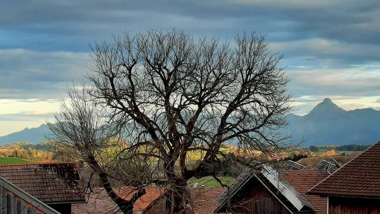 Ganze Ferienwohnung, Ferienwohnung für 4 Personen (40 m²) in Pfronten in Pfronten, Bayerisch Schwaben