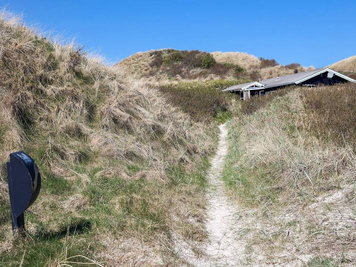 Ferienhaus für 6 Personen, mit Terrasse, mit Haustier in Dänemark an der Nordsee - 3