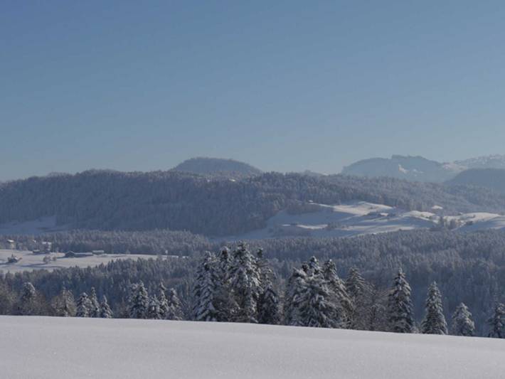 Ganze Ferienwohnung, Haus Erna - Ferienwohnung für 2-5 Personen in Bregenzerwald (Vorarlberg), Doren