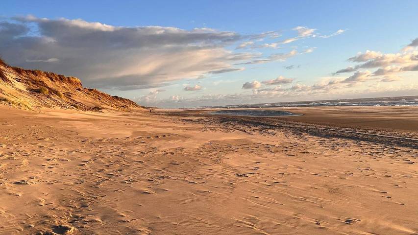 Ferieudlejning for 11 personer, med sauna og terrasse såvel som pool og jacuzzi, husdyr tilladt i Ringkøbing