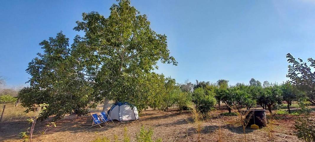 Camping für 4 Personen, mit Garten und Ausblick im Salento - 2