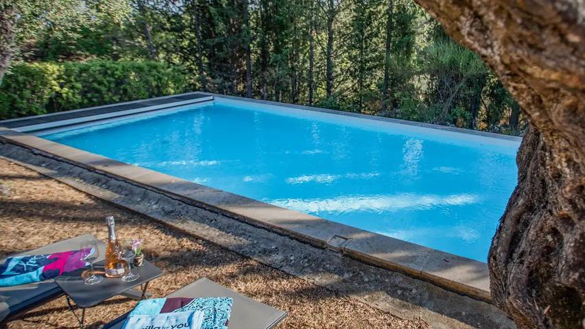 Villa pour 9 personnes, avec piscine et jardin à Fayence - 4