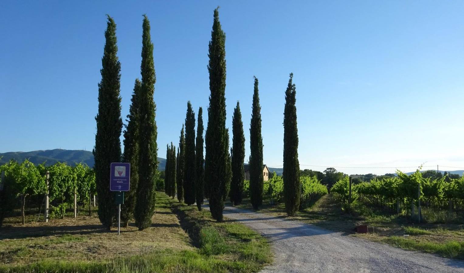 Zimmer 'Casale Rialto - Corcurione' mit Gemeinschaftsgarten, Wlan und Klimaanlage in Montefalco, Perugia Provinz
