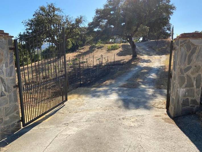 Casa rural para 12 personas, con piscina y jardín en El Bosque - 3